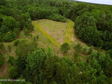 Land for sale in Amite County, MS. This beautiful 161-acre tract - photo 36