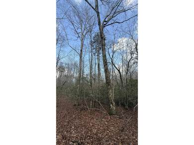 For those searching for true Tennessee mountain beauty, this +/- - photo 37