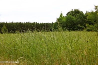 Land for sale in Amite County, MS. This beautiful 161-acre tract - photo 37