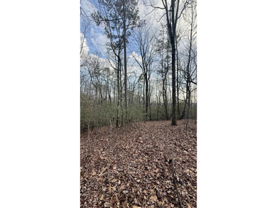 For those searching for true Tennessee mountain beauty, this +/- - photo 38