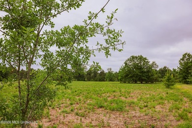 Land for sale in Amite County, MS. This beautiful 161-acre tract - photo 38