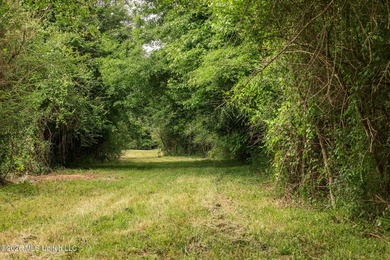 Land for sale in Amite County, MS. This beautiful 161-acre tract - photo 40