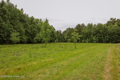 Land for sale in Amite County, MS. This beautiful 161-acre tract - photo 41