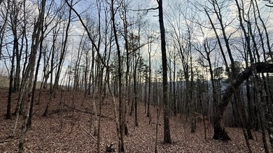 For those searching for true Tennessee mountain beauty, this +/- - photo 42