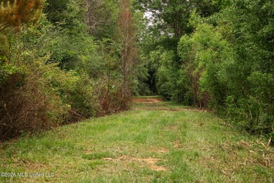 Land for sale in Amite County, MS. This beautiful 161-acre tract - photo 43