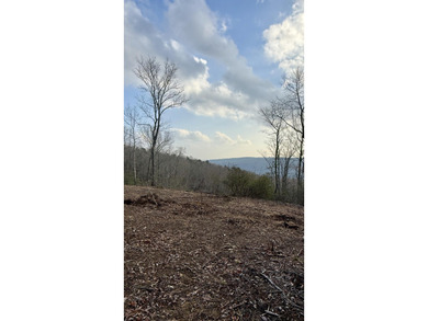 For those searching for true Tennessee mountain beauty, this +/- - photo 44