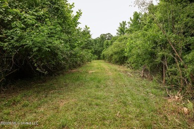 Land for sale in Amite County, MS. This beautiful 161-acre tract - photo 44