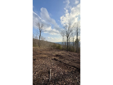 For those searching for true Tennessee mountain beauty, this +/- - photo 45