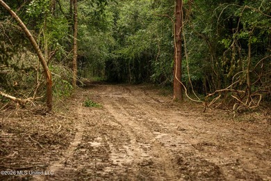 Land for sale in Amite County, MS. This beautiful 161-acre tract - photo 45
