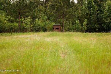 Land for sale in Amite County, MS. This beautiful 161-acre tract - photo 46