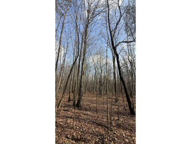 For those searching for true Tennessee mountain beauty, this +/- - photo 47