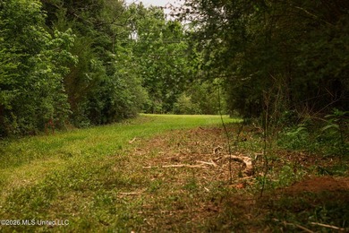 Land for sale in Amite County, MS. This beautiful 161-acre tract - photo 48