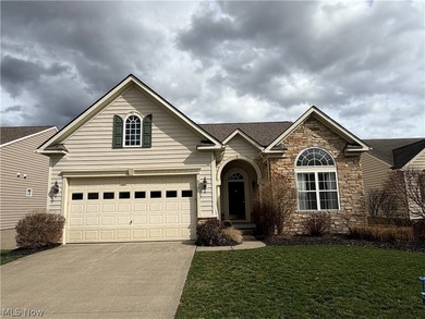 (private lake, pond, creek) Home Active Under Contract in Kent Ohio