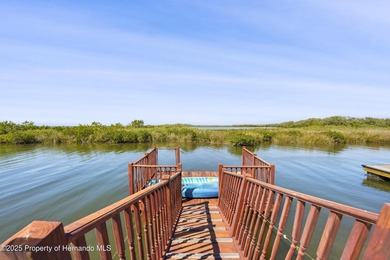 Stunning views and FLorida Gulf Living Beautiful Water front - photo 11