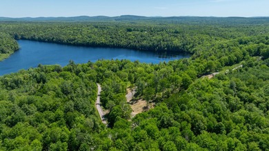 The waterfront dream to build your home or cottage is here! 2.5+ - photo 11