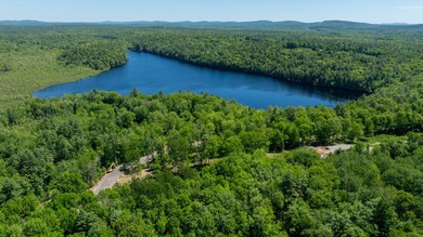 The waterfront dream to build your home or cottage is here! 2.5+ - photo 12