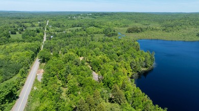 The waterfront dream to build your home or cottage is here! 2.5+ - photo 14