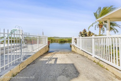 Stunning views and FLorida Gulf Living Beautiful Water front - photo 16