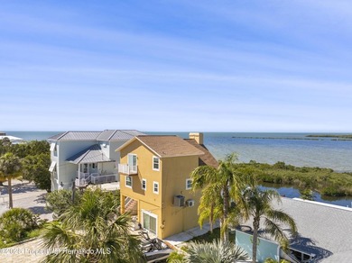 Stunning views and FLorida Gulf Living Beautiful Water front - photo 18