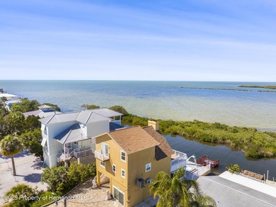 Stunning views and FLorida Gulf Living Beautiful Water front - photo 19