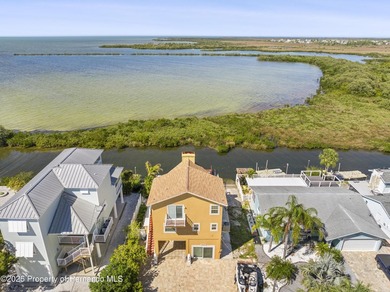 Stunning views and FLorida Gulf Living Beautiful Water front - photo 20