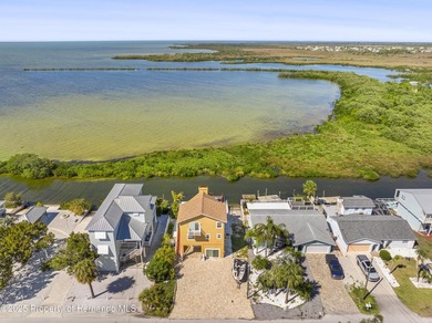 Stunning views and FLorida Gulf Living Beautiful Water front - photo 21