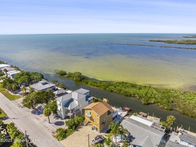 Stunning views and FLorida Gulf Living Beautiful Water front - photo 22