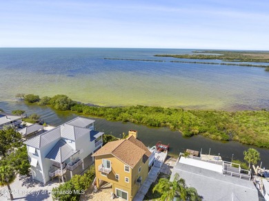 Stunning views and FLorida Gulf Living Beautiful Water front - photo 23