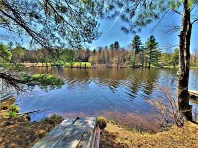 Lake Home For Sale in Swan Lake, New York