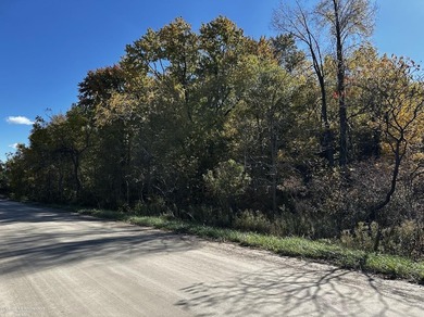 (private lake, pond, creek) Acreage For Sale in Imlay City Michigan