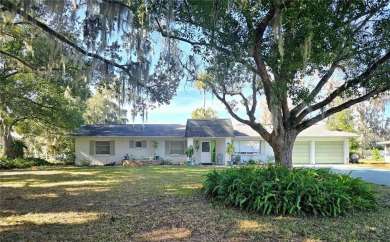 Lake Home For Sale in Ocala, Florida