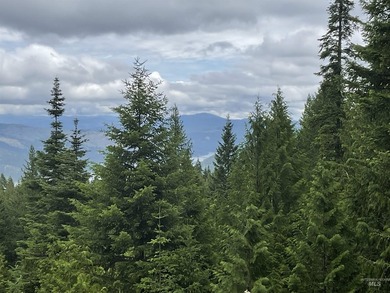Stunning Views of Dworshak Reservoir | Fully Renovated Log Home - photo 1