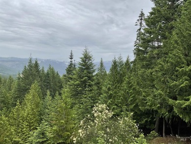 Stunning Views of Dworshak Reservoir | Fully Renovated Log Home - photo 2