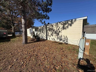 Check out this Park home in White Birch Village in the 55 and - photo 13