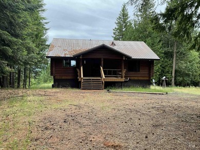 Stunning Views of Dworshak Reservoir | Fully Renovated Log Home - photo 4