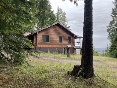 Stunning Views of Dworshak Reservoir | Fully Renovated Log Home - photo 5