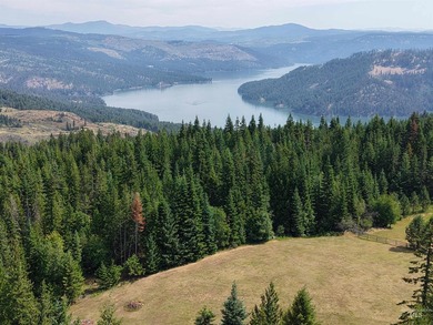 Stunning Views of Dworshak Reservoir | Fully Renovated Log Home - photo 10