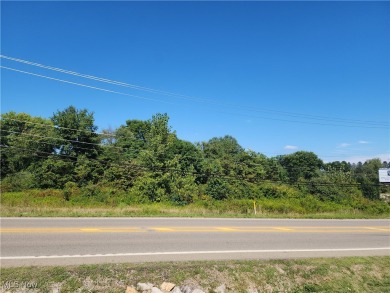 Lake Commercial For Sale in Nashport, Ohio