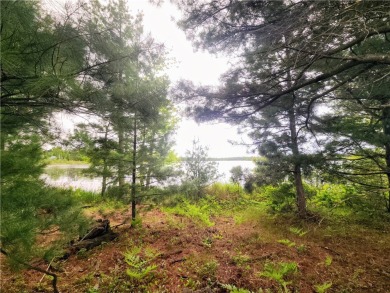 Lake Acreage For Sale in Turtle Lake, Wisconsin