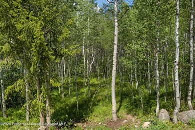 The last remaining vacant lot in the Riverside neighborhood! - photo 4