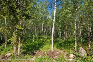 The last remaining vacant lot in the Riverside neighborhood! - photo 5