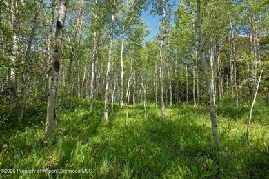 The last remaining vacant lot in the Riverside neighborhood! - photo 8