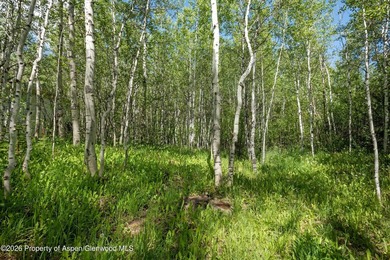 The last remaining vacant lot in the Riverside neighborhood! - photo 9