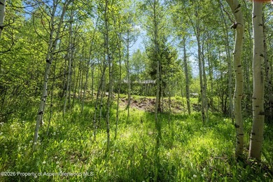 The last remaining vacant lot in the Riverside neighborhood! - photo 10