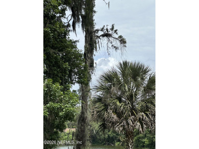 Lakefront views and exceptional privacy on a 1.4-acre lot can be - photo 18
