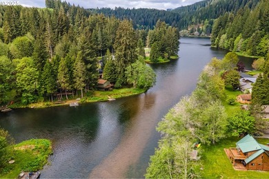 A-frame retreat in the heart of the Fishhawk Lake community - photo 26