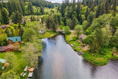 A-frame retreat in the heart of the Fishhawk Lake community - photo 27