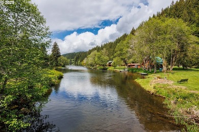 A-frame retreat in the heart of the Fishhawk Lake community - photo 28