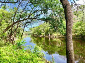 Withlacoochee River - Madison County Lot For Sale in Lee Florida