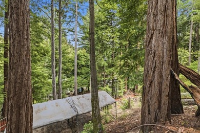 Nestled among the majestic redwoods of Boulder Creek, this - photo 45